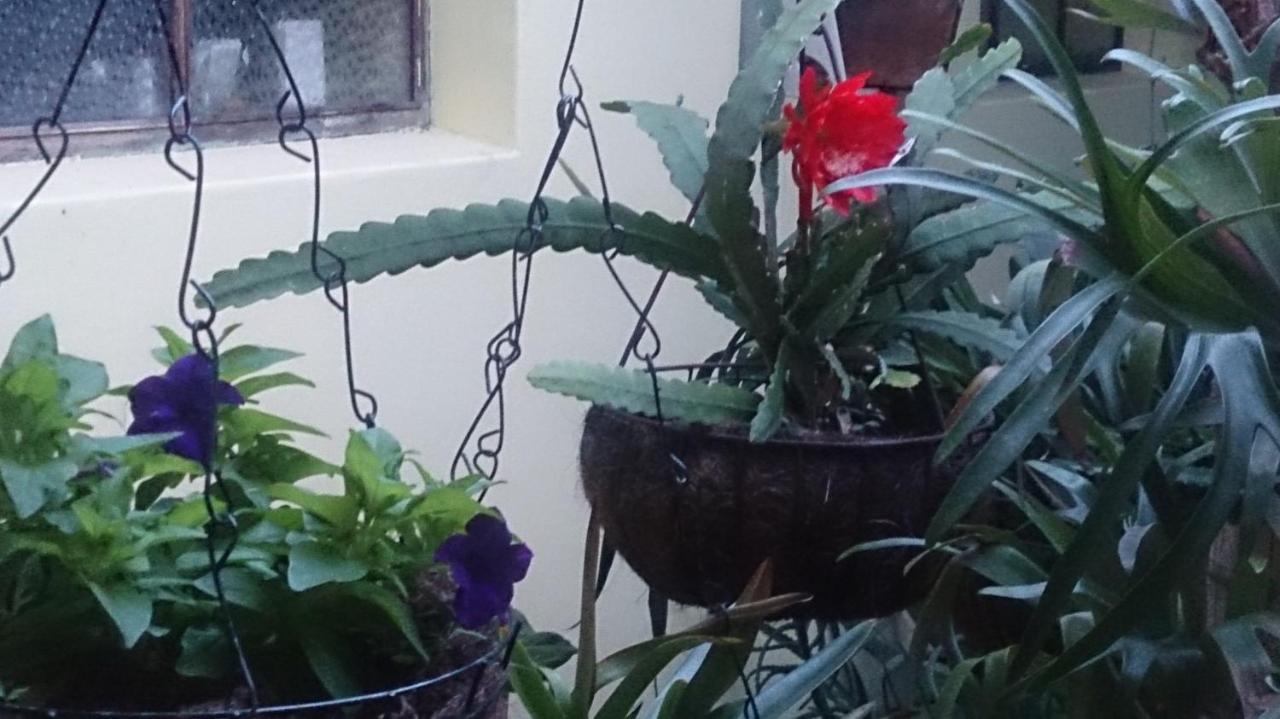 Casa Luna -Estrategica Ubicacion- Medellín Kültér fotó